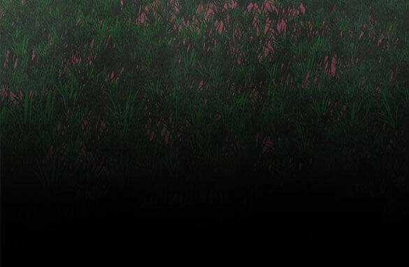 Cạm Bẫy - Chapter 180.2 - Trang 49