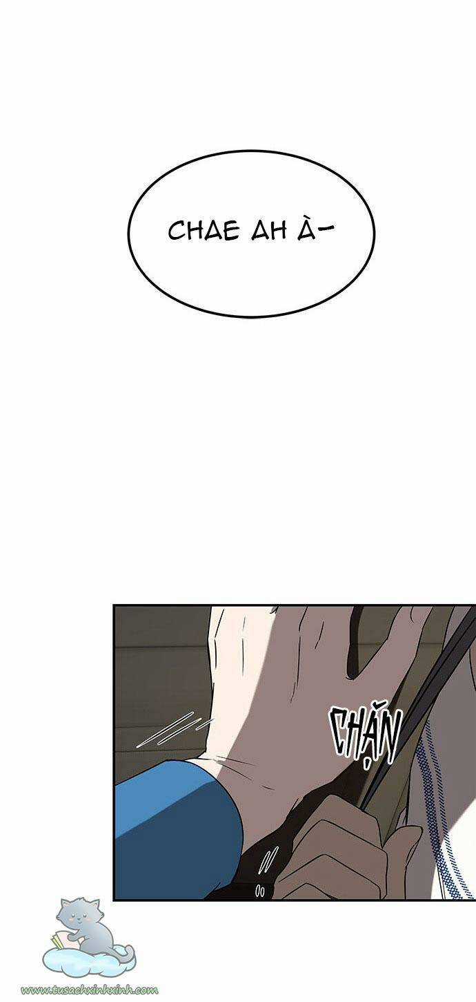 Cạm Bẫy - Chapter 37 - Trang 45