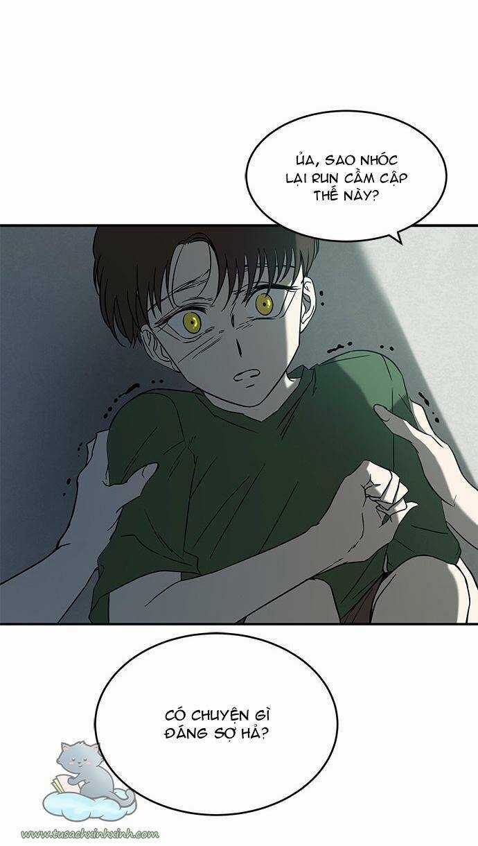 Cạm Bẫy - Chapter 61 - Trang 21