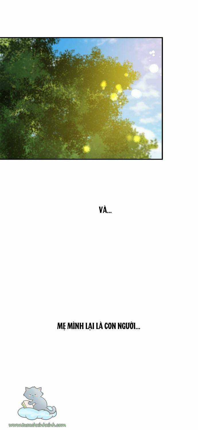 Cạm Bẫy - Chapter 63 - Trang 62