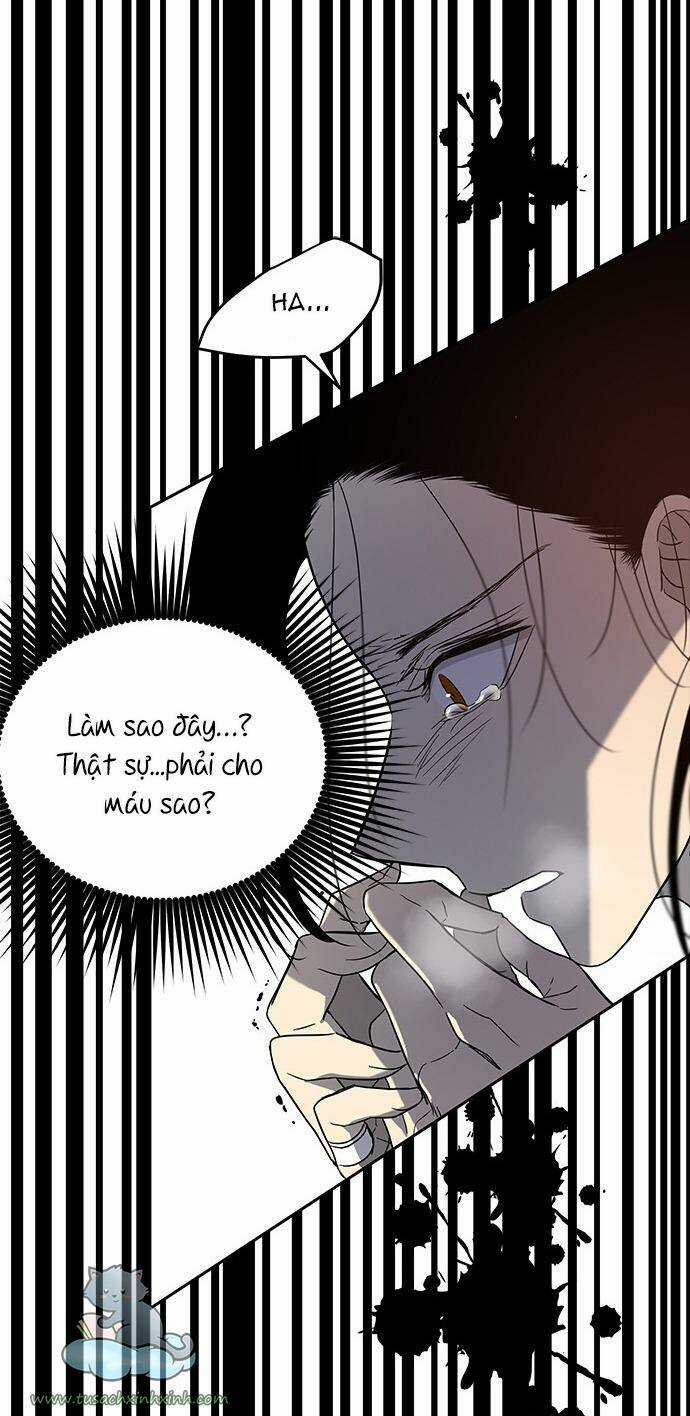 Cạm Bẫy - Chapter 68 - Trang 96