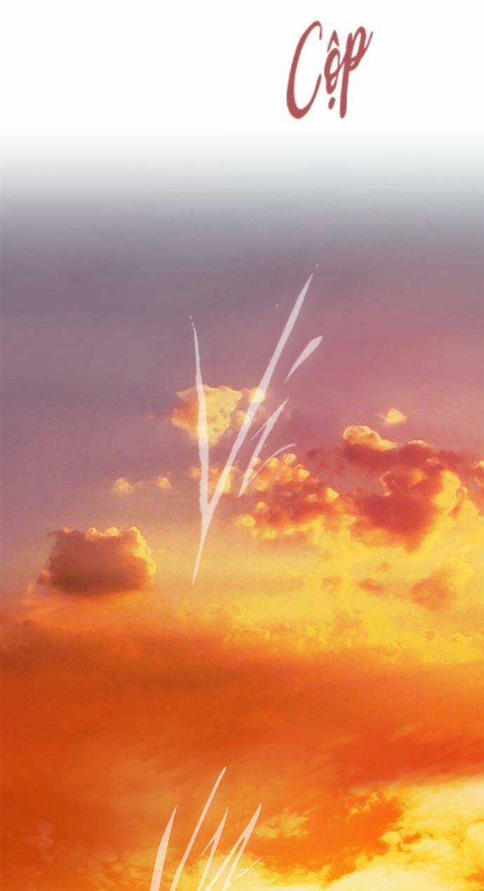 Cạm Bẫy - Chapter 88 - Trang 40