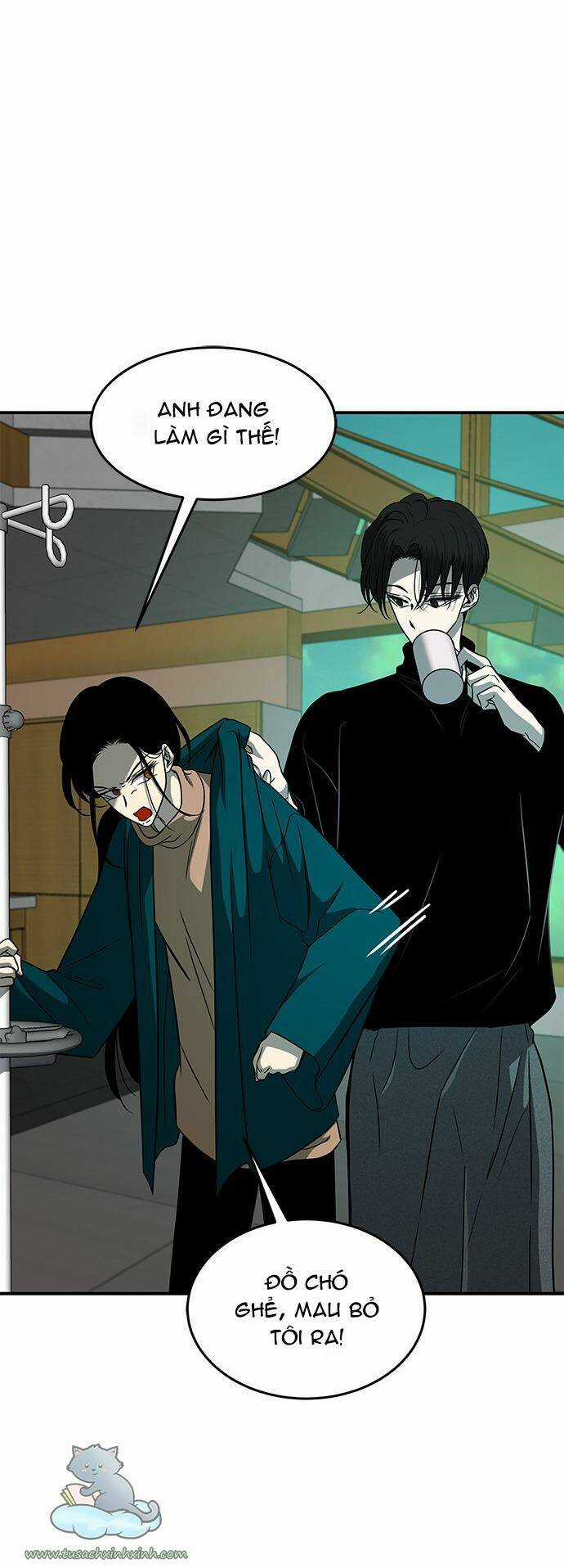 Cạm Bẫy - Chapter 98 - Trang 47