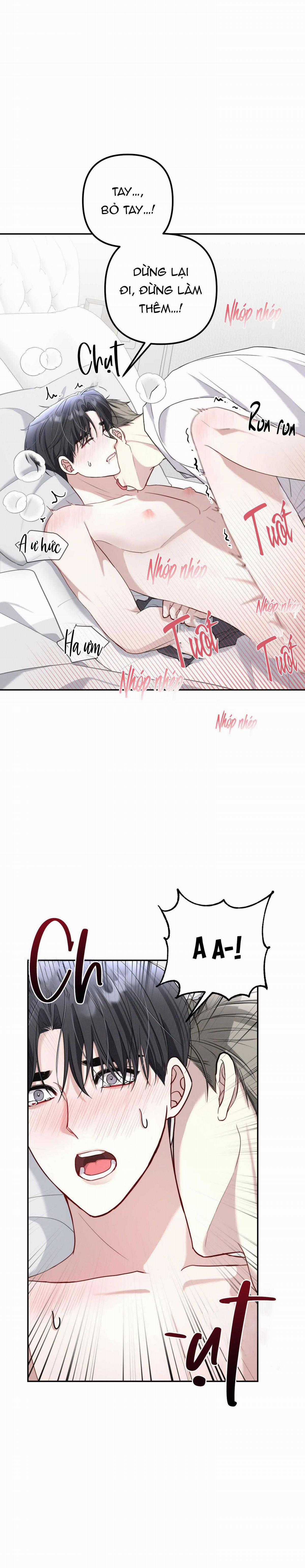 Cam Kết Thứ Hai - Chapter 7 - Trang 7