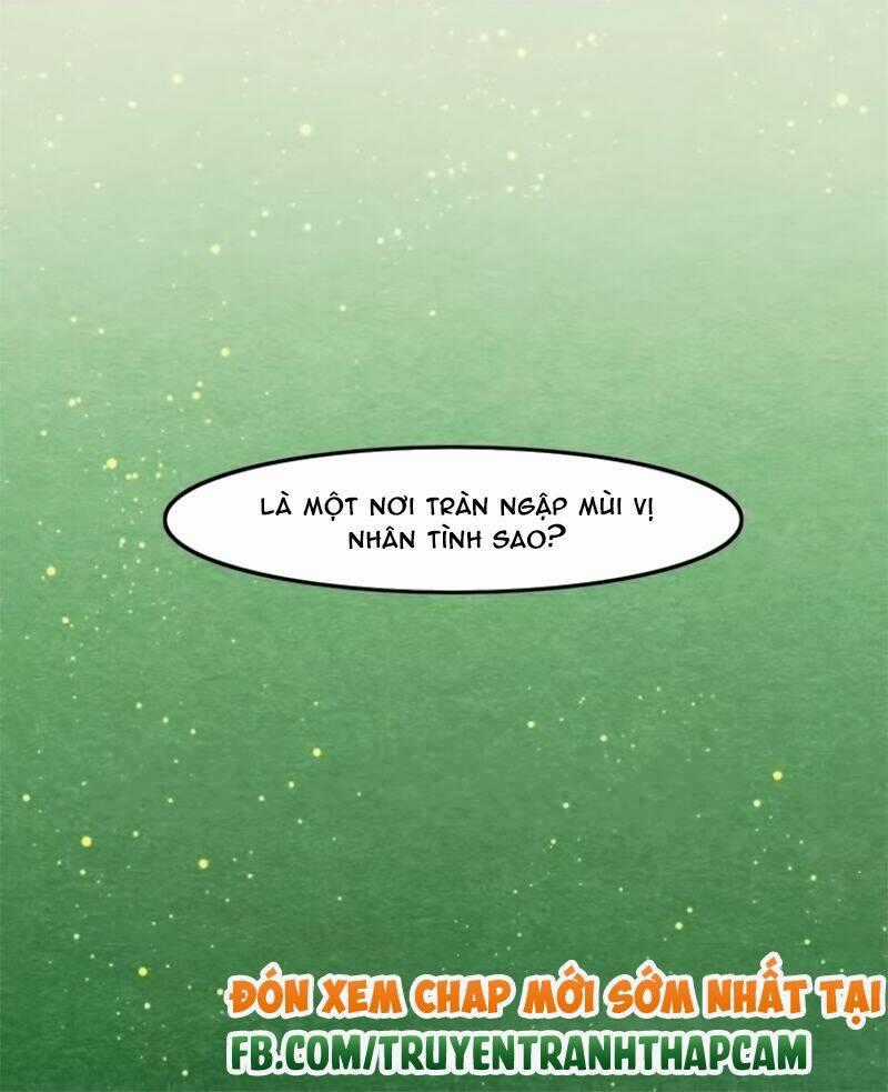 Cẩm Lý Quy - Chapter 18 - Trang 29