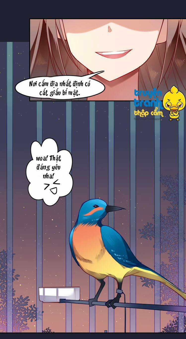 Cẩm Lý Quy - Chương 1 - Trang 37