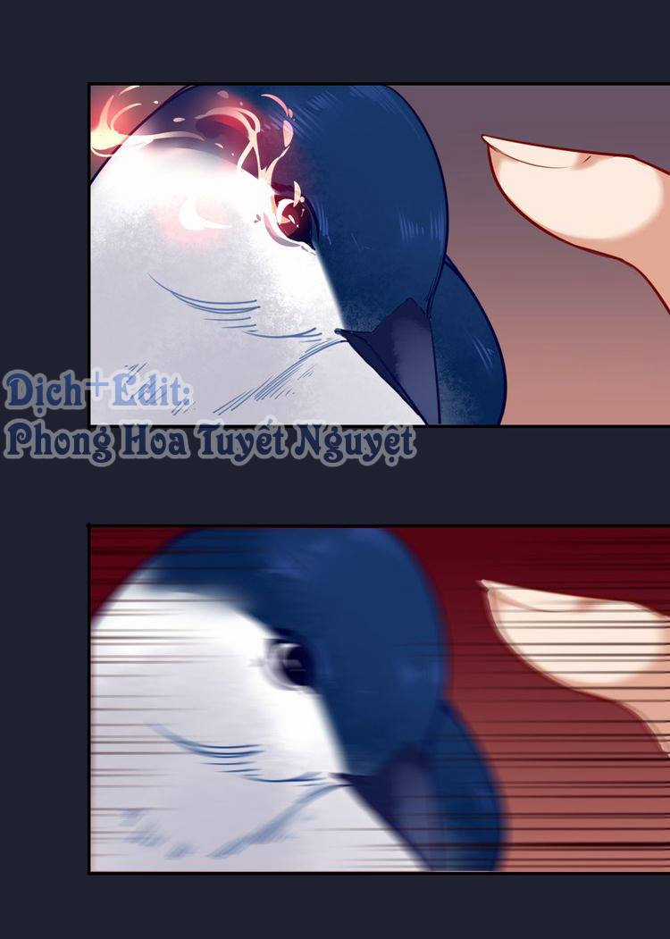 Cẩm Lý Quy - Chương 1 - Trang 40