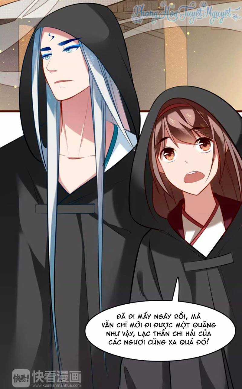 Cẩm Lý Quy - Chương 12 - Trang 3