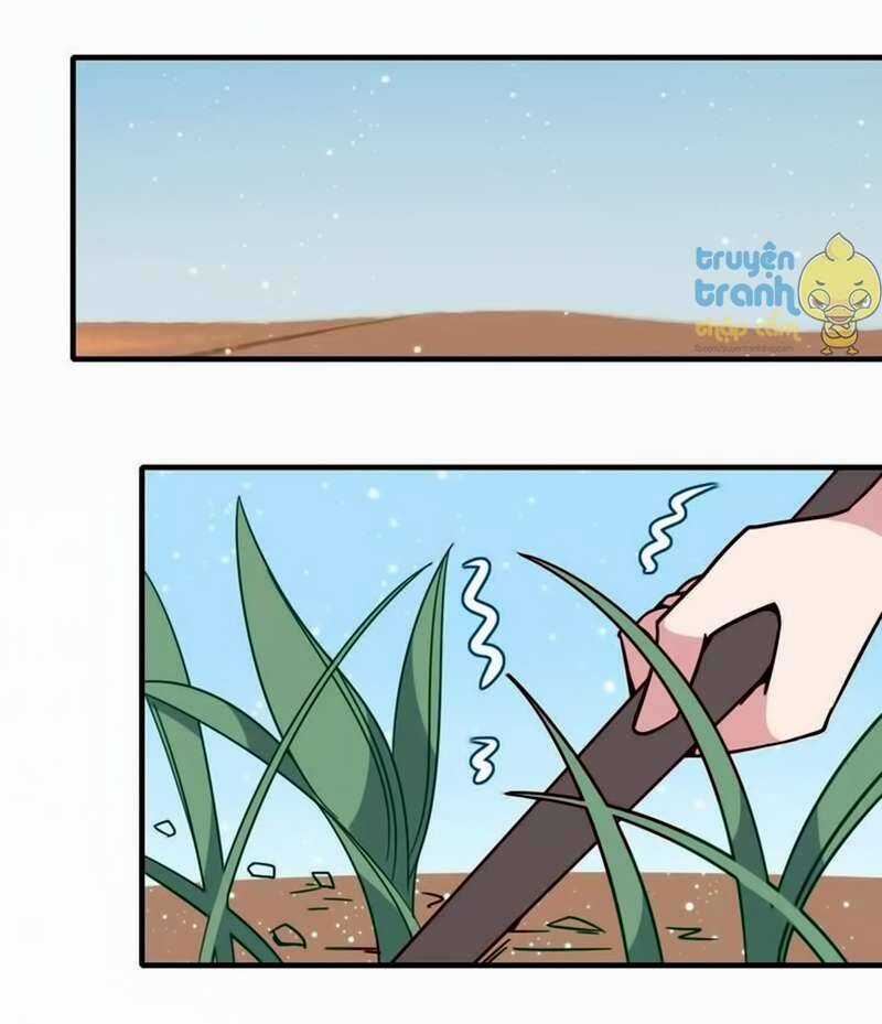 Cẩm Lý Quy - Chương 21 - Trang 6