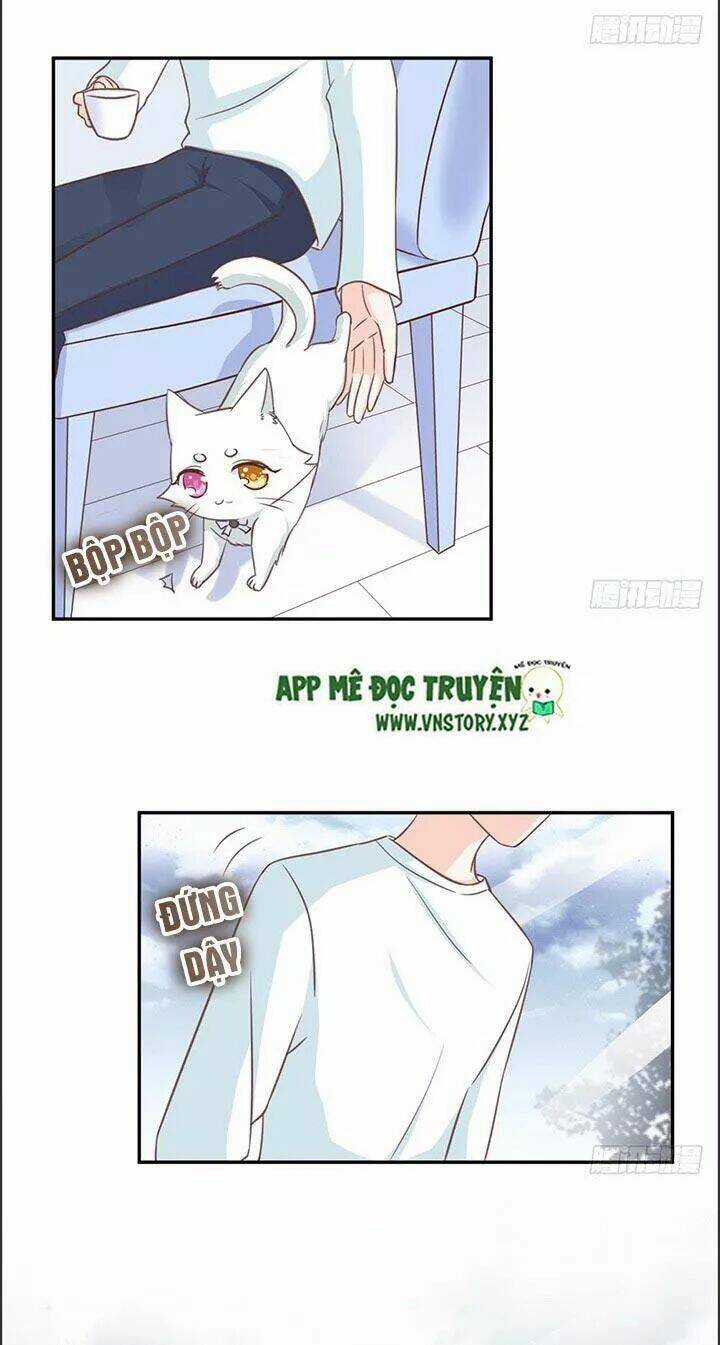 Cẩm Lý Thiếu Nữ Của Tôi - Chapter 21 - Trang 7