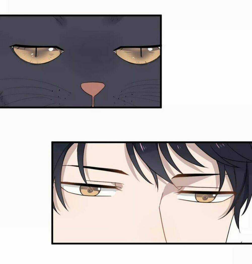 Cận Kề Tiếp Xúc - Chapter 43 - Trang 37