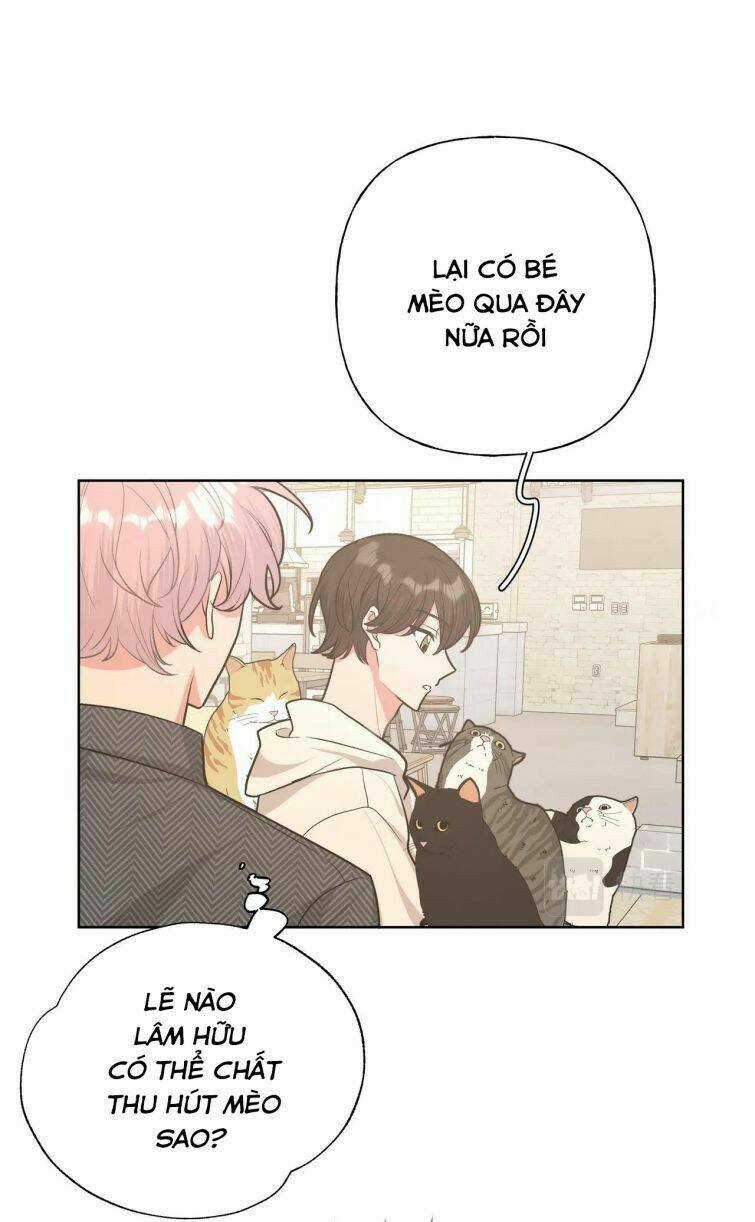 Cẩn Thận Bị Mộng Ma Ăn Mất Đó! - Chapter 64 - Trang 11