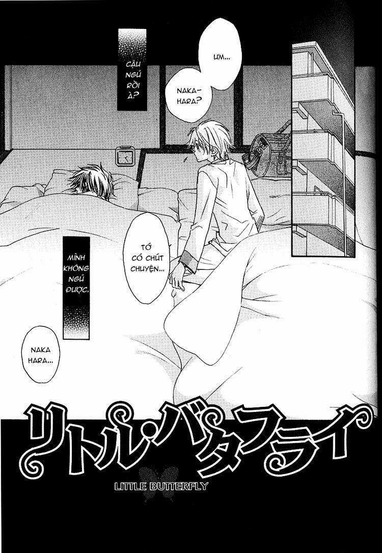 Cánh Bướm Nhỏ Cô Độc - Chapter 14 - Trang 3