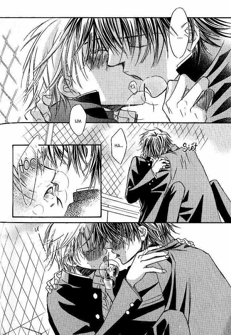 Cánh Bướm Nhỏ Cô Độc - Chapter 15 - Trang 30