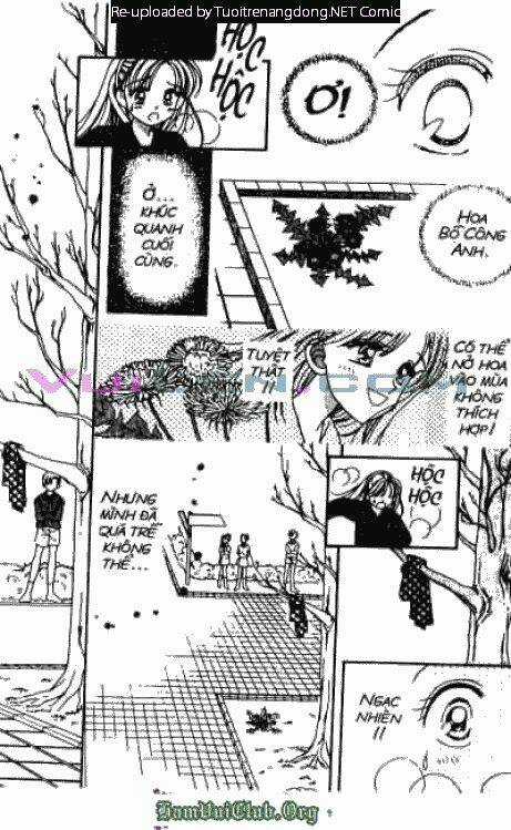 Cánh Thiên Nga - Chapter 16 - Trang 9