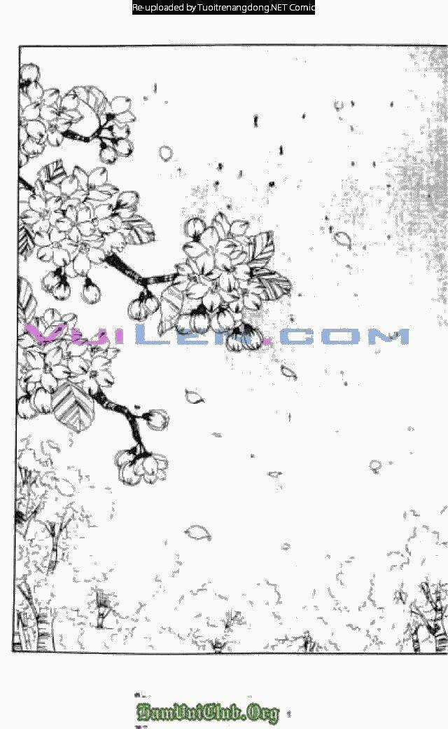 Cánh Thiên Nga - Chapter 20 - Trang 6