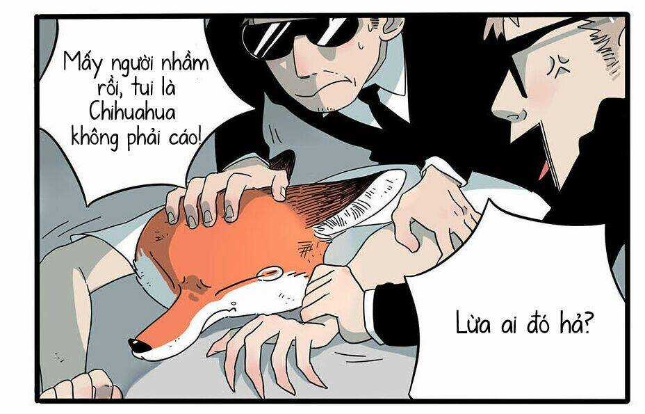 Cáo A Cát Kém Tắm - Chapter 3 - Trang 19