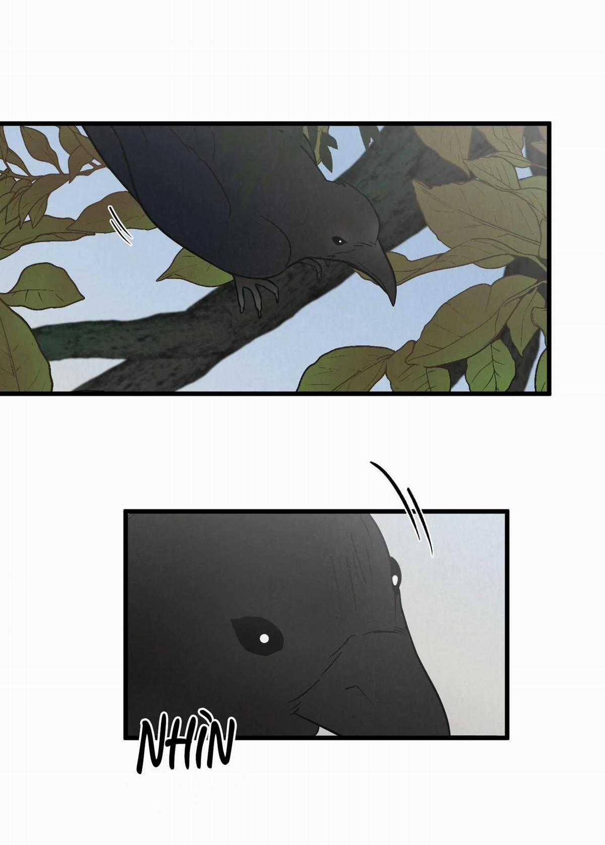 Cặp Đôi Hoàn Hảo - Chapter 1 - Trang 11