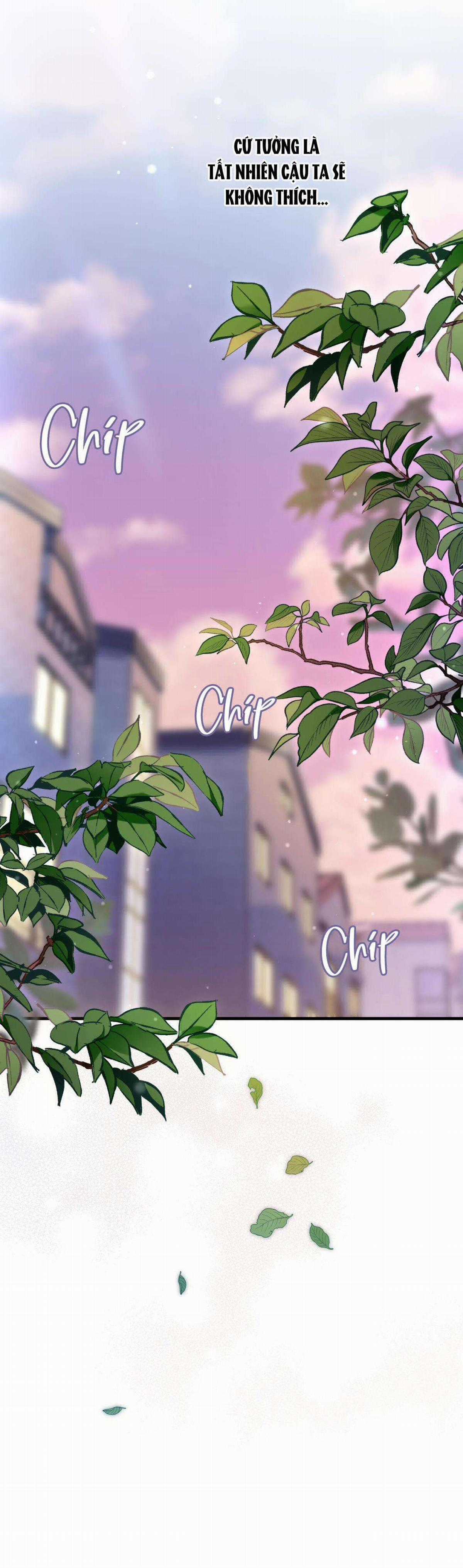 Cặp Đôi Hoàn Hảo - Chapter 39 - Trang 28