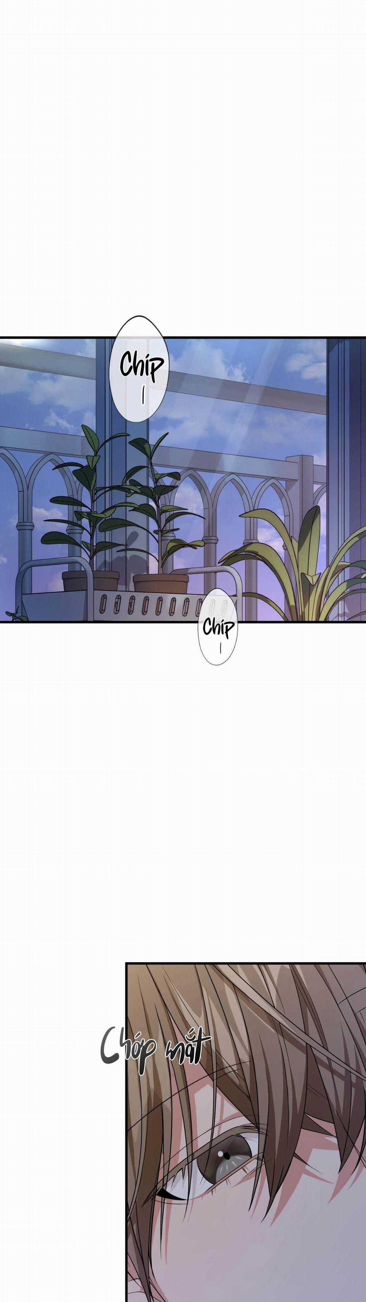 Cặp Đôi Hoàn Hảo - Chapter 43 - Trang 33