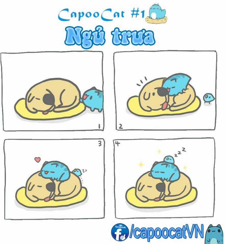 Capoo Cat - Chapter 1 - Trang 1