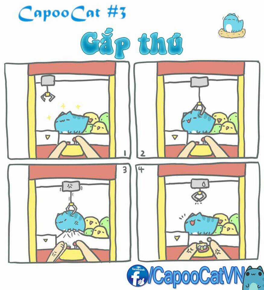 Capoo Cat - Chapter 1 - Trang 3
