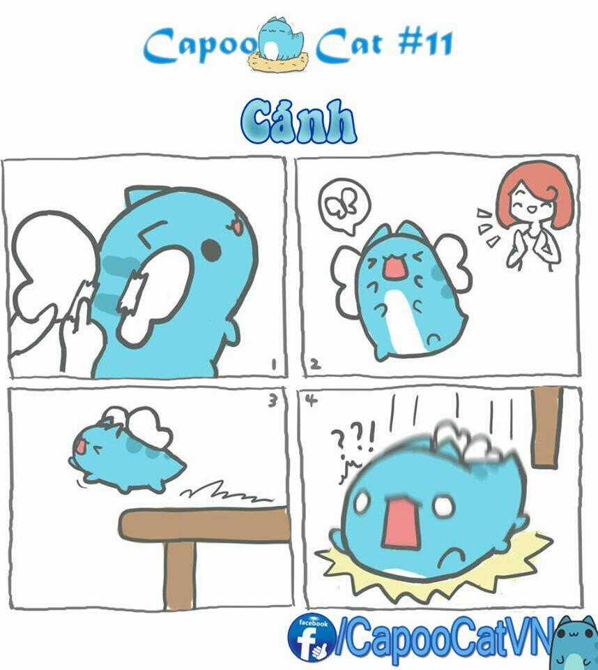Capoo Cat - Chapter 2 - Trang 1