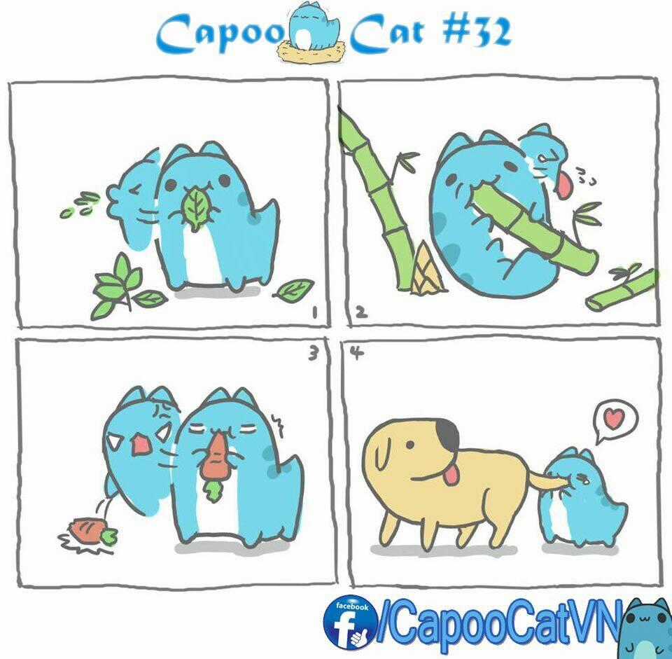 Capoo Cat - Chapter 4 - Trang 2