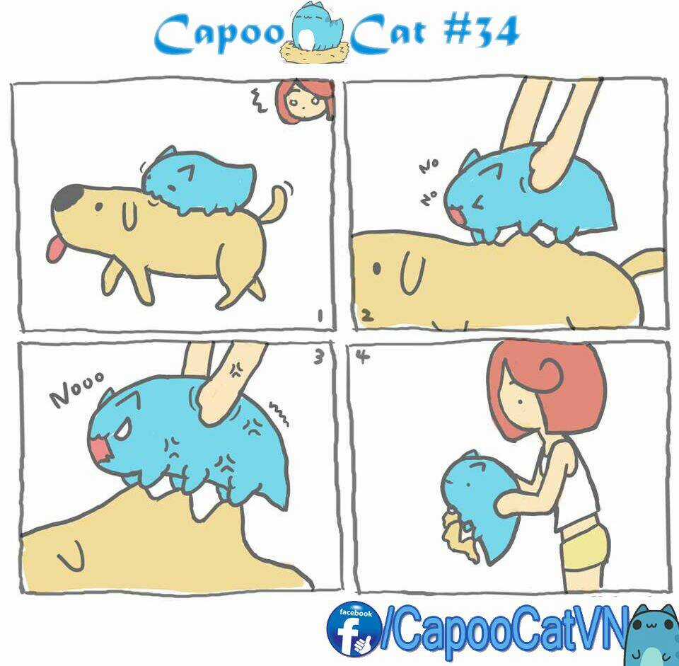 Capoo Cat - Chapter 4 - Trang 4