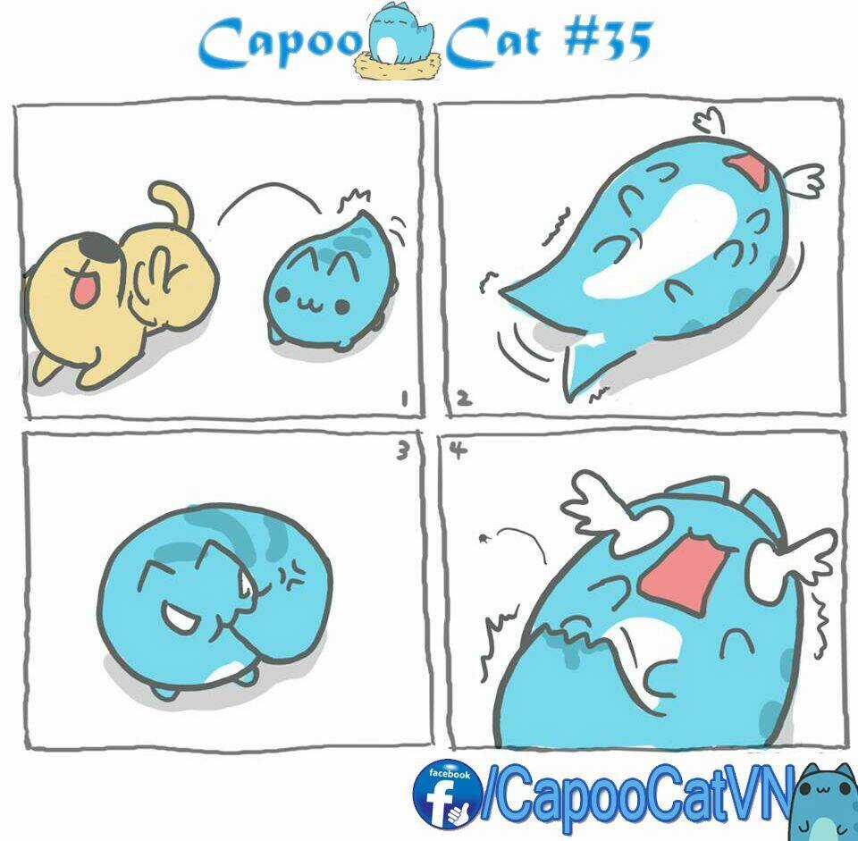 Capoo Cat - Chapter 4 - Trang 5