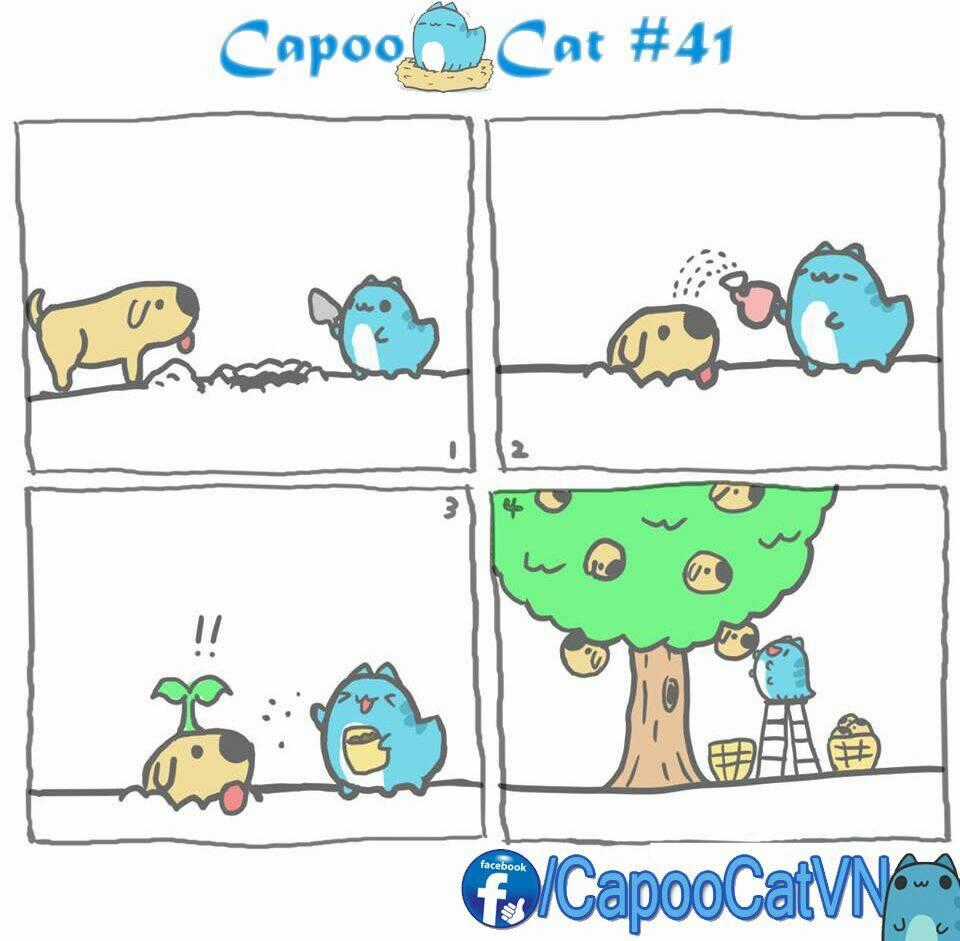 Capoo Cat - Chapter 5 - Trang 1