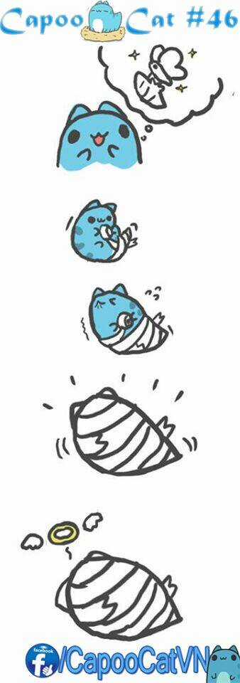 Capoo Cat - Chapter 5 - Trang 6