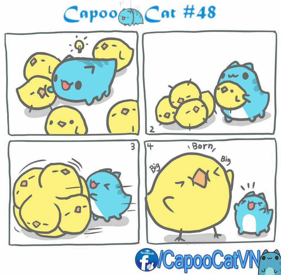 Capoo Cat - Chapter 5 - Trang 8
