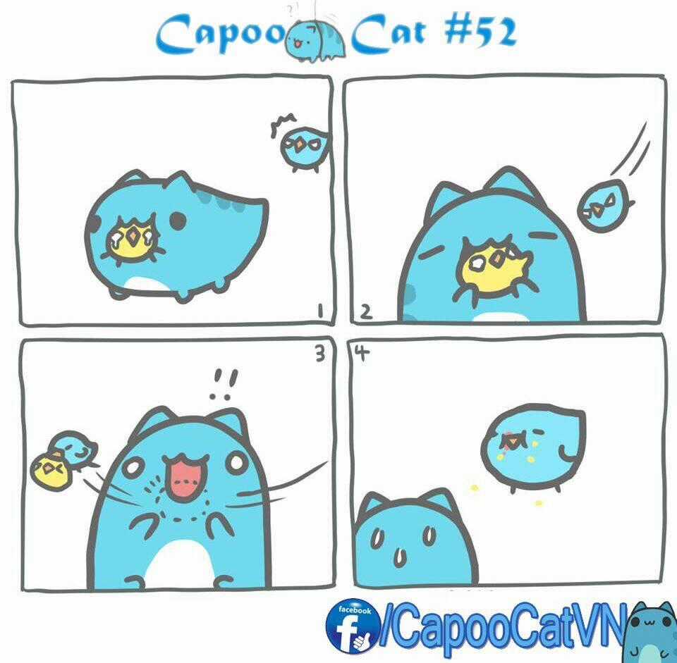 Capoo Cat - Chapter 6 - Trang 2