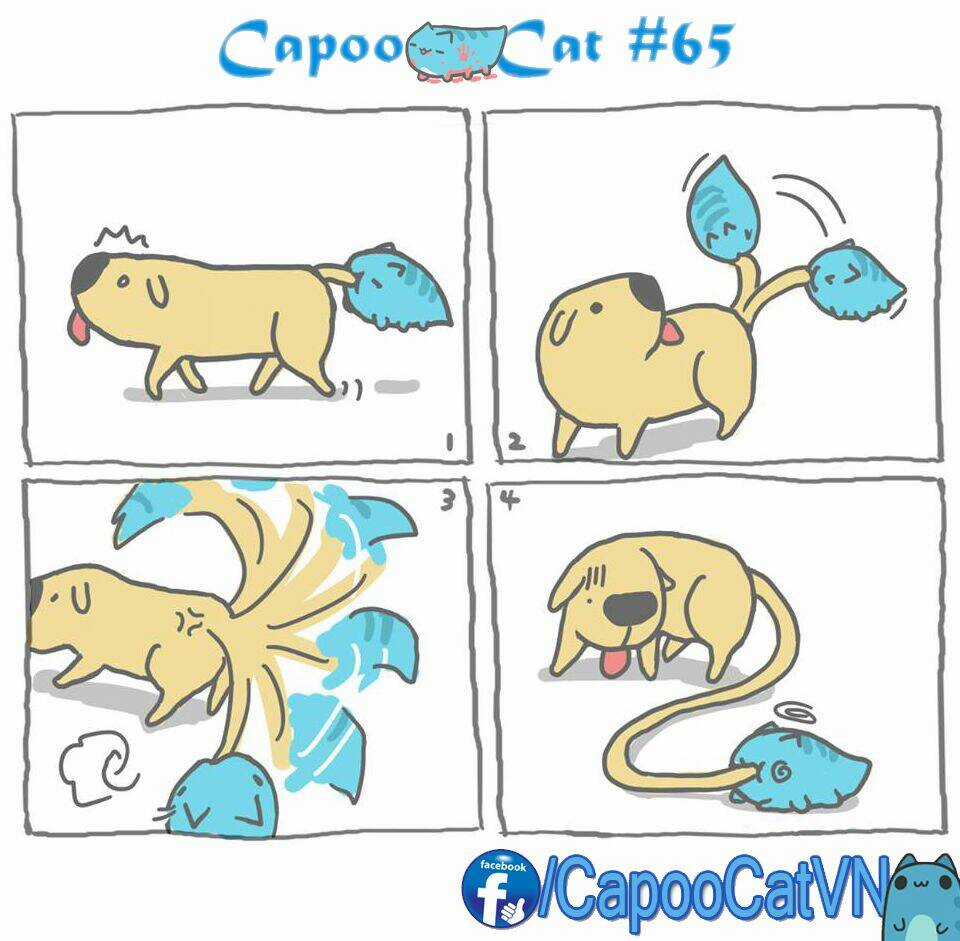 Capoo Cat - Chapter 7 - Trang 5