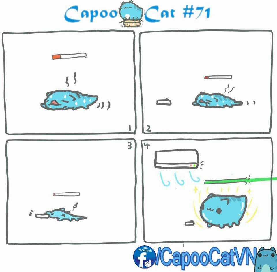 Capoo Cat - Chapter 8 - Trang 1