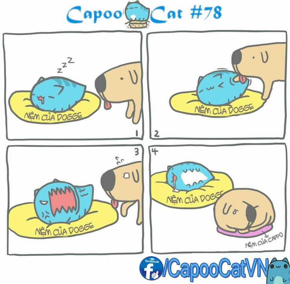 Capoo Cat - Chapter 8 - Trang 8