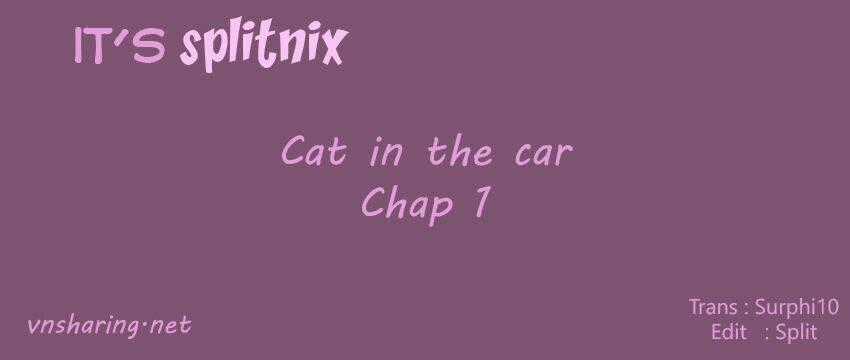 Cat in the car - Chapter 1 - Trang 1