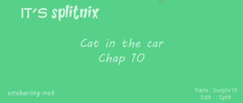 Cat in the car - Chapter 10 - Trang 1