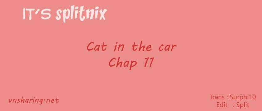 Cat in the car - Chapter 11 - Trang 1