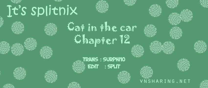 Cat in the car - Chapter 12 - Trang 1