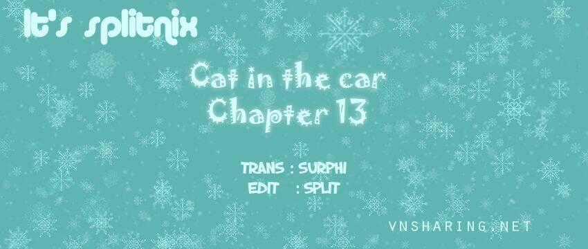 Cat in the car - Chapter 13 - Trang 1