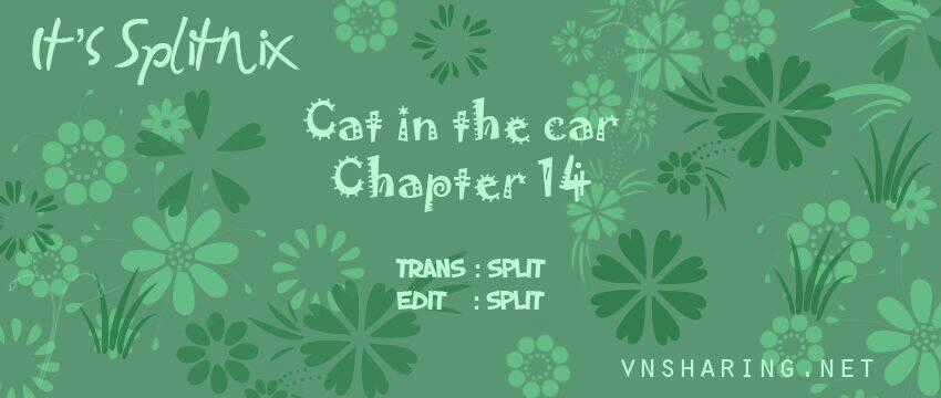 Cat in the car - Chapter 14 - Trang 1