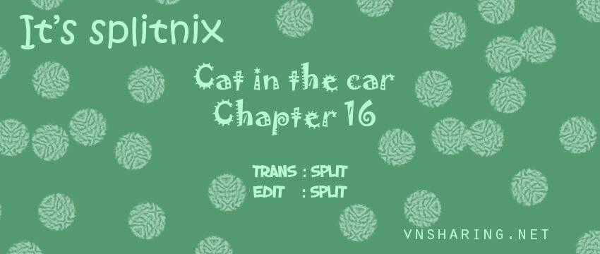 Cat in the car - Chapter 16 - Trang 1