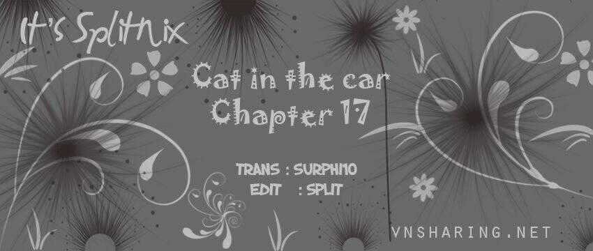 Cat in the car - Chapter 17 - Trang 1