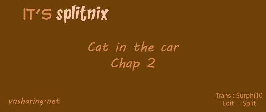 Cat in the car - Chapter 2 - Trang 1
