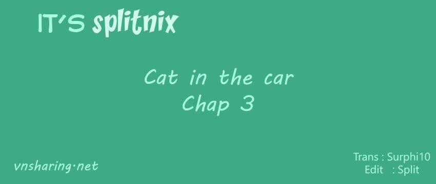 Cat in the car - Chapter 3 - Trang 1