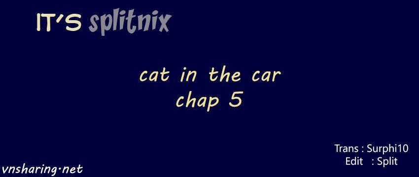 Cat in the car - Chapter 5 - Trang 1