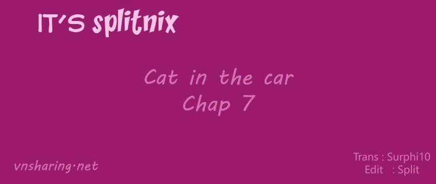 Cat in the car - Chapter 7 - Trang 1