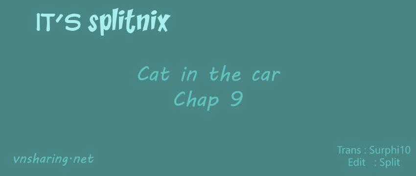 Cat in the car - Chapter 9 - Trang 1